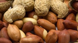 Cacahuètes et cancer : les professionnels sont de plus en plus inquiets sur la situation